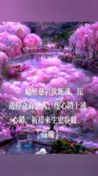 彩色夏天